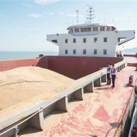 遼寧海事局：近期碎石緩征港口建設費，謹防冒充碎石偷逃繳稅