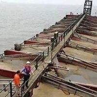 用海水“淡化”海砂！廣東開展違規海砂專項治理